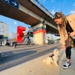 pet taxi from paris to london