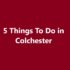 Things To Do in Colchester